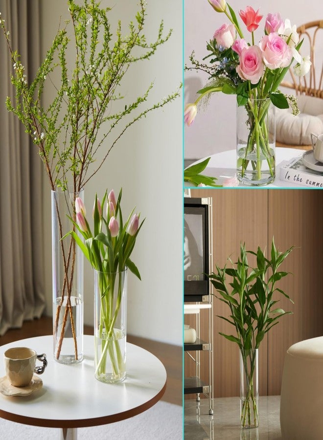 Liotww 3 Pcs Acrylic Clear Cylinder Flower Vase for Plants Bouquet, Unbreakable Hurricane Tall Large Plastic Vases for Wedding Centerpieces, Hydroponic Decor Base Set of 3 (H 8" + H 10" + H 12" No Flowers) - Image 4